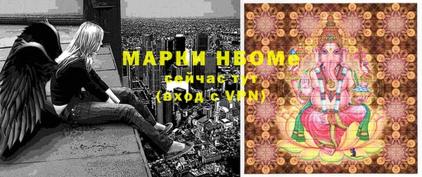 индика Алексеевка