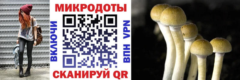Псилоцибиновые грибы мицелий  Яблоновский 