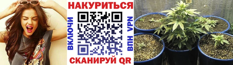 Бошки Шишки планчик мега tor Яблоновский